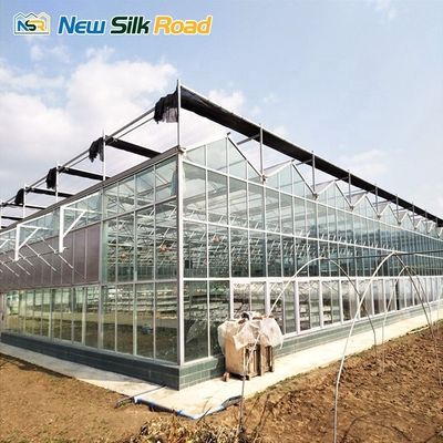 Large Agricultural Greenhouse Window Glass Single-Span Greenhouse for Agro