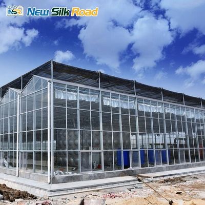 Length Customized Multispan Venlo Glass Polycarbonate Greenhouse for Agriculture Growth