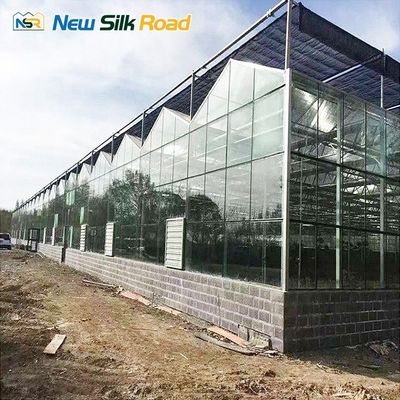 Indoor Outdoor Glass Greenhouse for Flower and Vegetable Growing Top Height 4.5m-7.5m