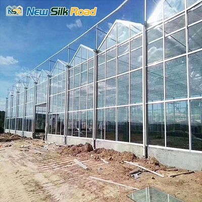 Solar Control Tempered Insulated Glass Greenhouse for Flower and Vegetable Growing