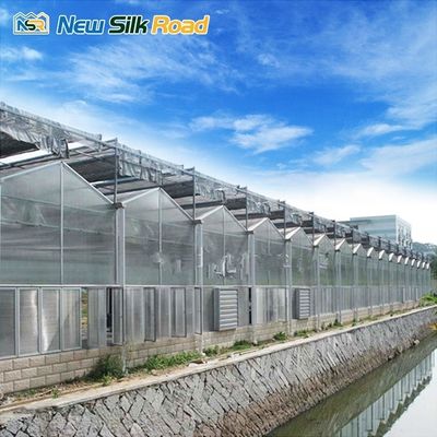 Multi-Span Agricultural Greenhouses for Agro Polycarbonate Cover and Aluminium Frame