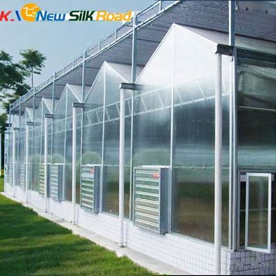 Multilayer PC Hollow Sheet Covered Garden Greenhouse for Vegetable Fruits Flowers