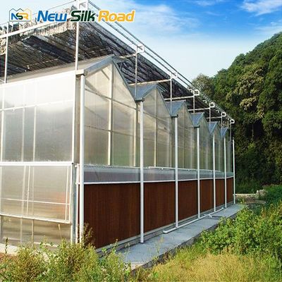 Lowes Sunrooms Polycarbonate Panel Garden Sun Room with Hot Dip Galvanized Steel Structure