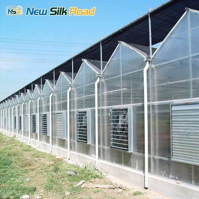 Spray Irrigation Commercial Greenhouse with Polycarbonate Frame and Waterproof Design