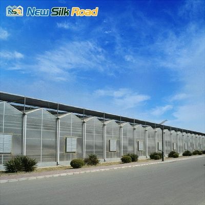 vegetable garden greenhouse frame agricultural greenhouses tunneling polycarbonate greenhouses supplier for plants