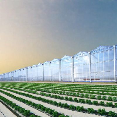 steel and glass houses solar greenhouse 4 layer polycarbonate agriculture outdoor green houses greenhouse for agro