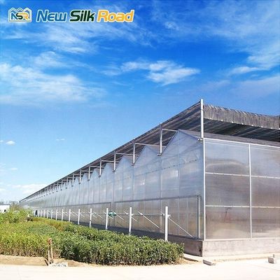 polycarbonate roof panel aluminium green house garden greenhouses luxury steel and glass houses solar greenhouse for agro