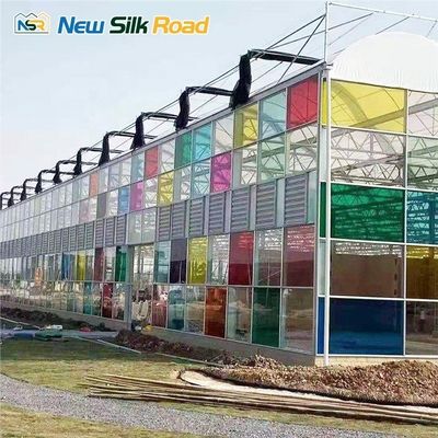 high efficient venlo tempered glass greenhouse with hydroponic growing system glass greenhouse for agro