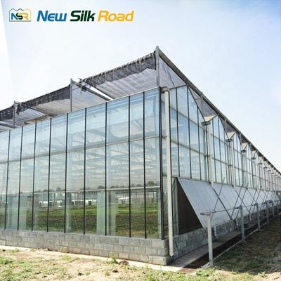 golden supplier glass green house greenhouses decorate sunroom glass sunroom panels glass greenhouse for agro