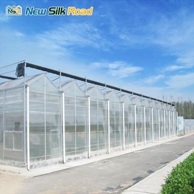 Hot Galvanized Steel Frame Greenhouse for Year-Round Gardening and Agriculture
