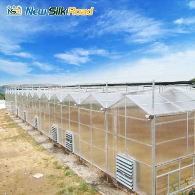 Hot Dip Galvanized Steel Structure Agricultural Greenhouse with Metal Aluminium Houses