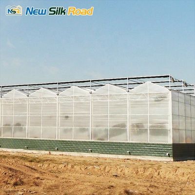 Polycarbonate Greenhouse for Large-Scale Vegetable Cultivation in Commercial Farming