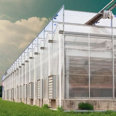 6mm Polycarbonate Roof Outdoor Greenhouse Kit Multi-Span Agricultural Greenhouses Large