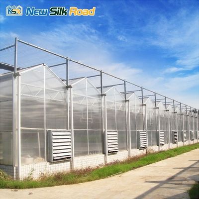transparent polycarbonate greenhouse 10mm polycarbonate greenhouse indoor growing systems agriculture greenhouse for sale