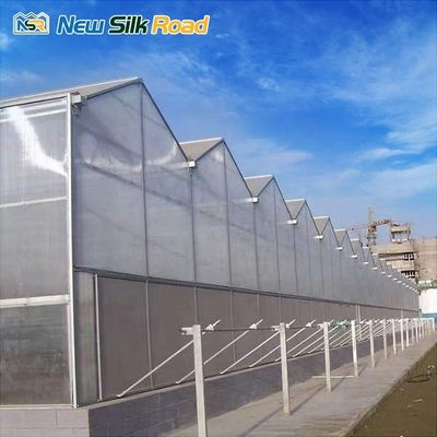 Backyard Agricultural Greenhouse with and Durable Aluminium-Polycarbonate Construction