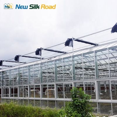 Backyard Agricultural Greenhouse with and Durable Aluminium-Polycarbonate Construction